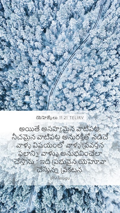 యెహెజ్కేలు 11:21 TELIRV Bible Verse Image