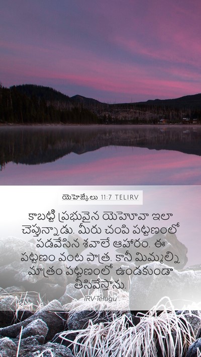 యెహెజ్కేలు 11:7 TELIRV Mobile Phone Wallpaper - కాబట్టి ప్రభువైన - Mobile Bible Verse Wallpaper