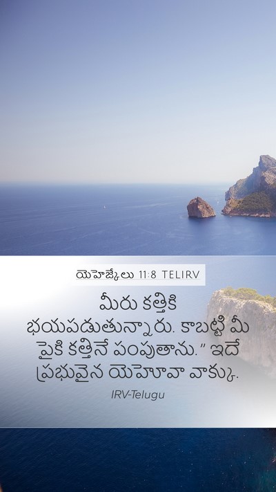 యెహెజ్కేలు 11:8 TELIRV Mobile Phone Wallpaper - మీరు కత్తికి - Mobile Bible Verse Wallpaper