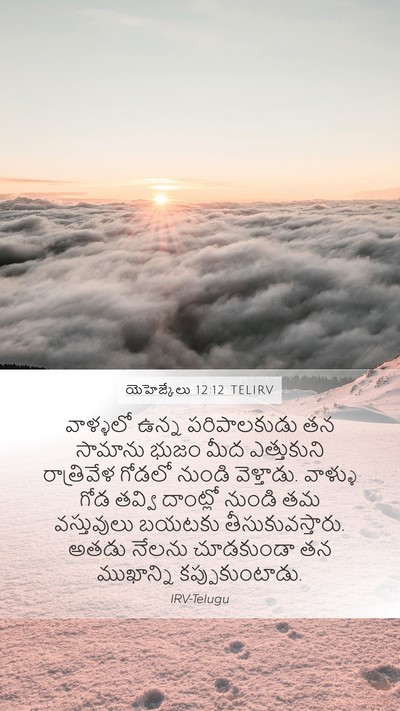 యెహెజ్కేలు 12:12 TELIRV Bible Verse Image