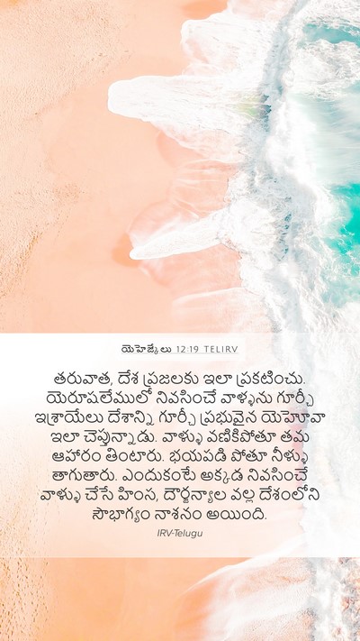 యెహెజ్కేలు 12:19 TELIRV Bible Verse Image