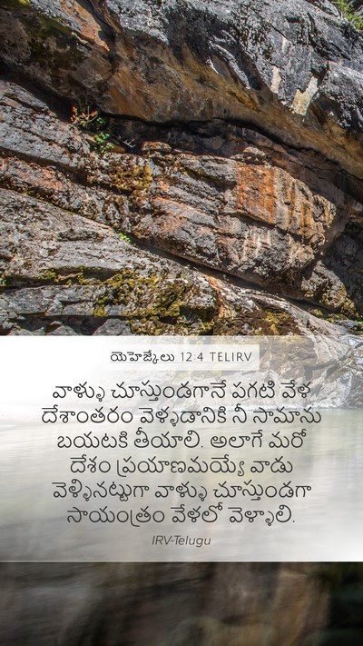 యెహెజ్కేలు 12:4 TELIRV Mobile Phone Wallpaper - వాళ్ళు - Mobile Bible Verse Wallpaper