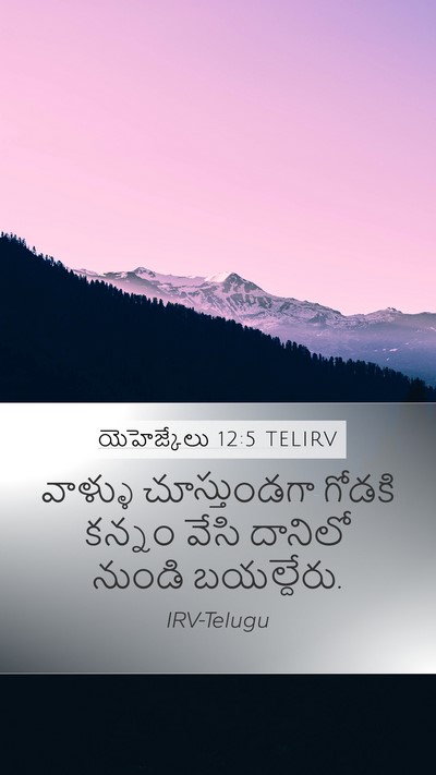 యెహెజ్కేలు 12:5 TELIRV Mobile Phone Wallpaper - వాళ్ళు చూస్తుండగా - Mobile Bible Verse Wallpaper