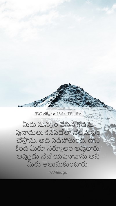 యెహెజ్కేలు 13:14 TELIRV Bible Verse Image