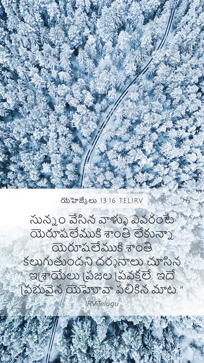 యెహెజ్కేలు 13:16 TELIRV Bible Verse Image