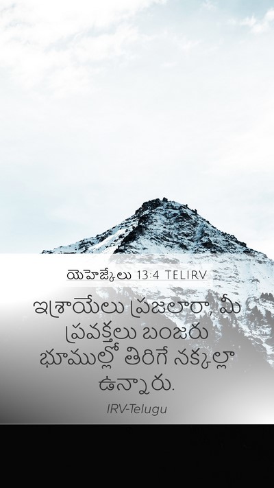 యెహెజ్కేలు 13:4 TELIRV Bible Verse Image