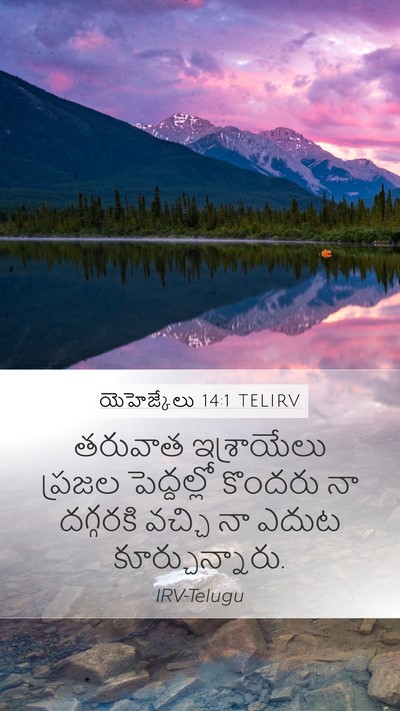 యెహెజ్కేలు 14:1 TELIRV Bible Verse Image