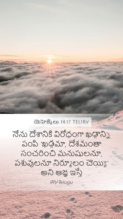 యెహెజ్కేలు 14:17 TELIRV Bible Verse Image