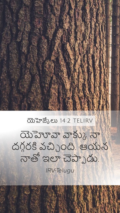 యెహెజ్కేలు 14:2 TELIRV Bible Verse Image