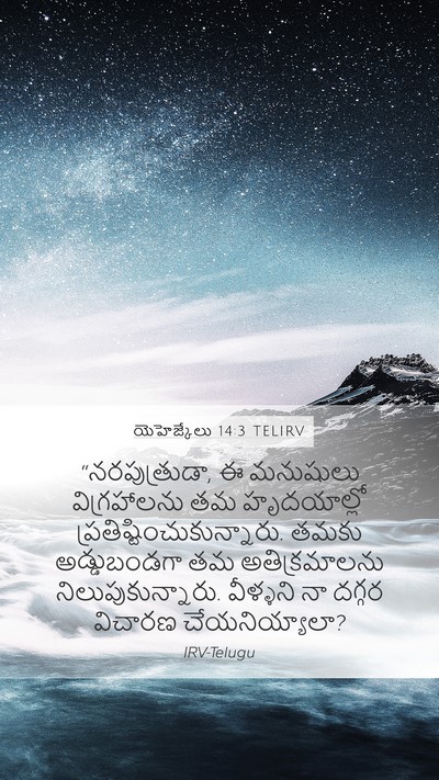 యెహెజ్కేలు 14:3 TELIRV Bible Verse Image