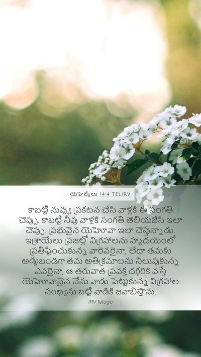 యెహెజ్కేలు 14:4 TELIRV Bible Verse Image