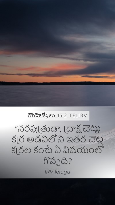 యెహెజ్కేలు 15:2 TELIRV Bible Verse Image
