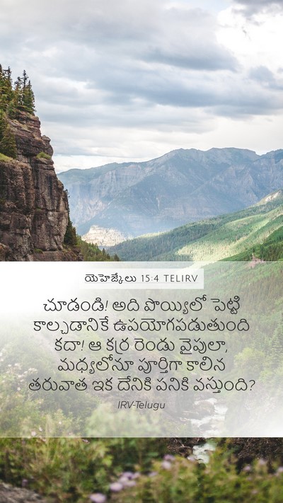 యెహెజ్కేలు 15:4 TELIRV Mobile Phone Wallpaper - చూడండి! అది - Mobile Bible Verse Wallpaper