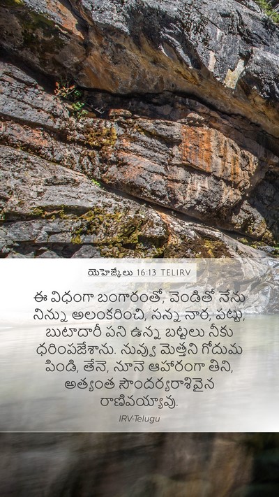 యెహెజ్కేలు 16:13 TELIRV Bible Verse Image
