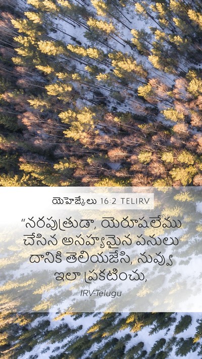 యెహెజ్కేలు 16:2 TELIRV Bible Verse Image