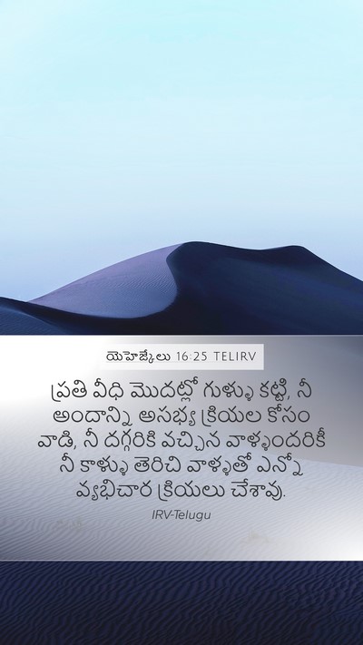 యెహెజ్కేలు 16:25 TELIRV Bible Verse Image