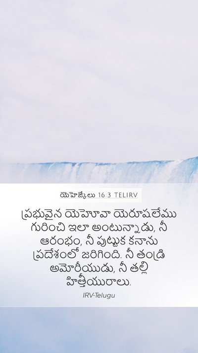 యెహెజ్కేలు 16:3 TELIRV Bible Verse Image