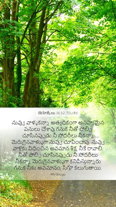 యెహెజ్కేలు 16:52 TELIRV Bible Verse Image