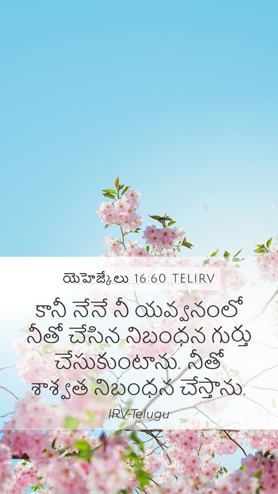 యెహెజ్కేలు 16:60 TELIRV Mobile Phone Wallpaper - కానీ నేనే నీ - Mobile Bible Verse Wallpaper