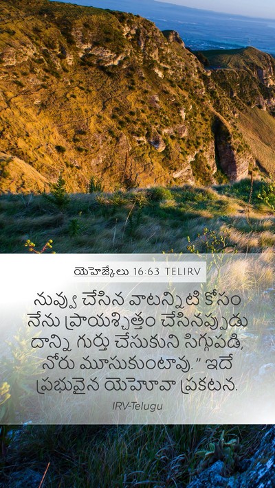 యెహెజ్కేలు 16:63 TELIRV Bible Verse Image