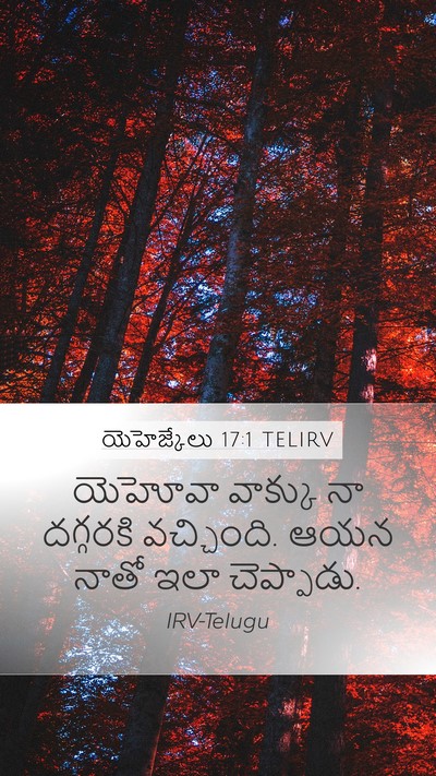 యెహెజ్కేలు 17:1 TELIRV Mobile Phone Wallpaper - యెహోవా వాక్కు నా - Mobile Bible Verse Wallpaper