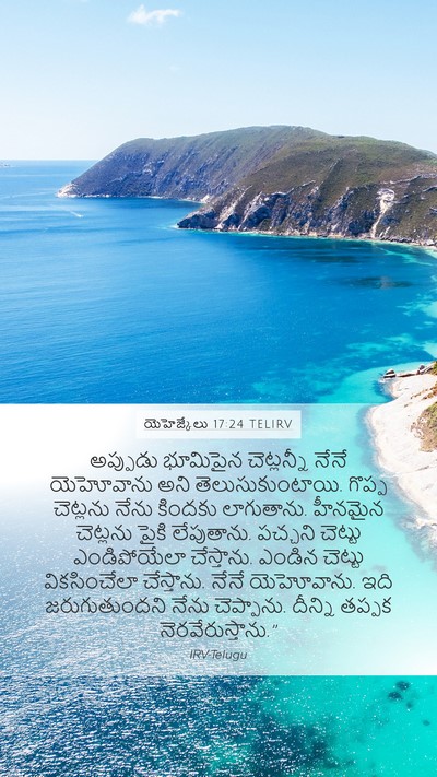 యెహెజ్కేలు 17:24 TELIRV Bible Verse Image