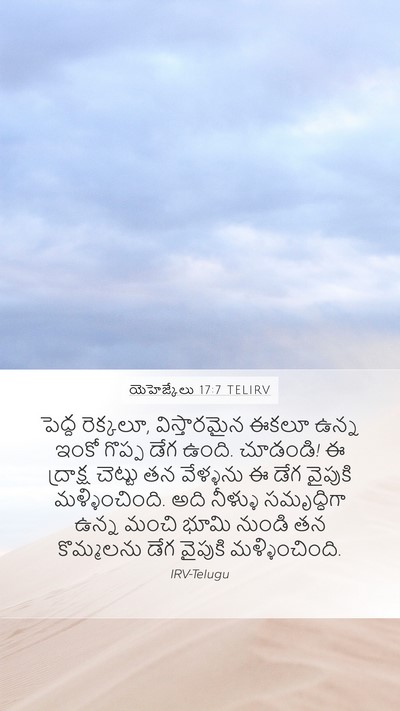 యెహెజ్కేలు 17:7 TELIRV Bible Verse Image
