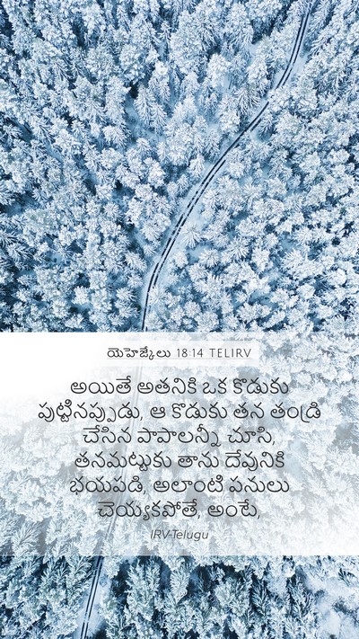 యెహెజ్కేలు 18:14 TELIRV Bible Verse Image