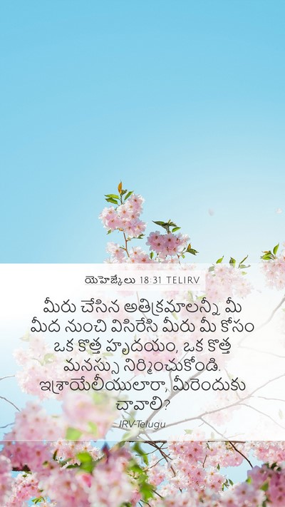 యెహెజ్కేలు 18:31 TELIRV Bible Verse Image