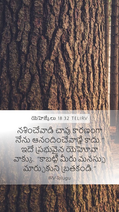 యెహెజ్కేలు 18:32 TELIRV Bible Verse Image