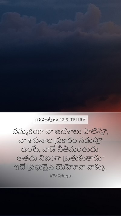 యెహెజ్కేలు 18:9 TELIRV Bible Verse Image
