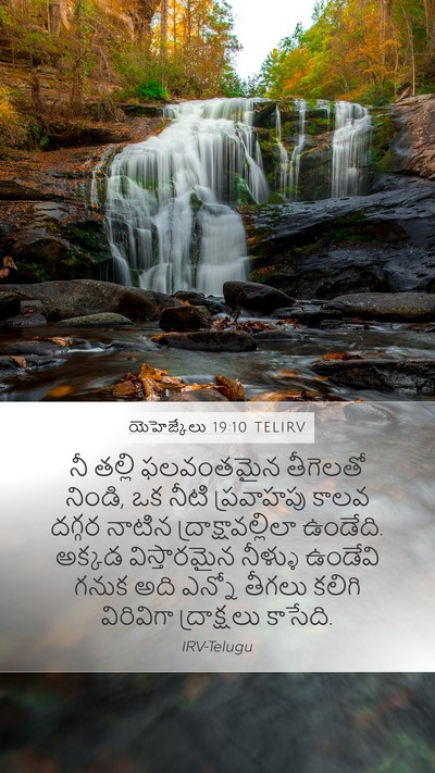 యెహెజ్కేలు 19:10 TELIRV Bible Verse Image