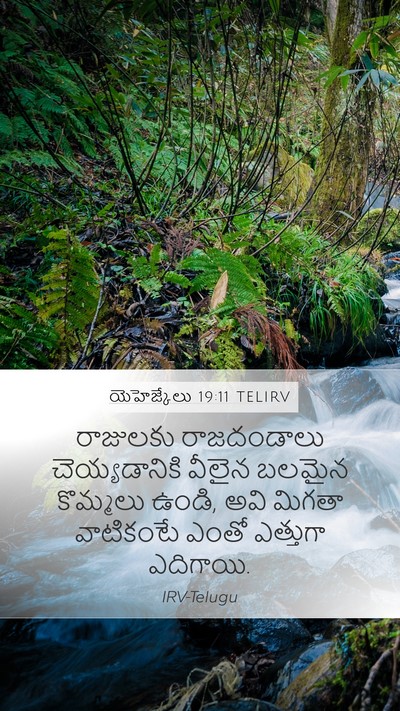 యెహెజ్కేలు 19:11 TELIRV Bible Verse Image