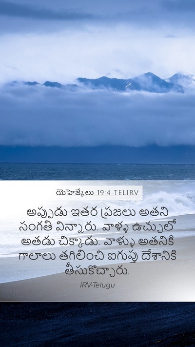 యెహెజ్కేలు 19:4 TELIRV Bible Verse Image