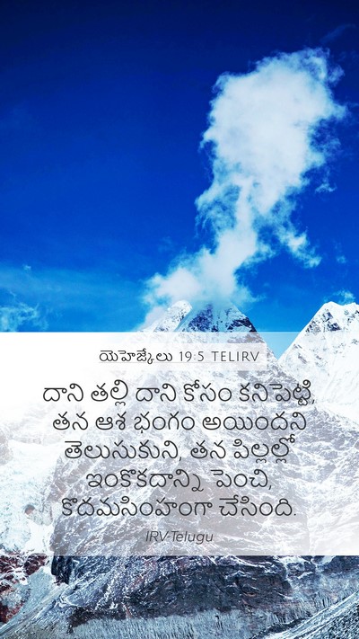 యెహెజ్కేలు 19:5 TELIRV Bible Verse Image