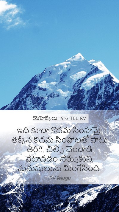 యెహెజ్కేలు 19:6 TELIRV Bible Verse Image