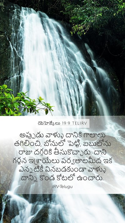 యెహెజ్కేలు 19:9 TELIRV Bible Verse Image