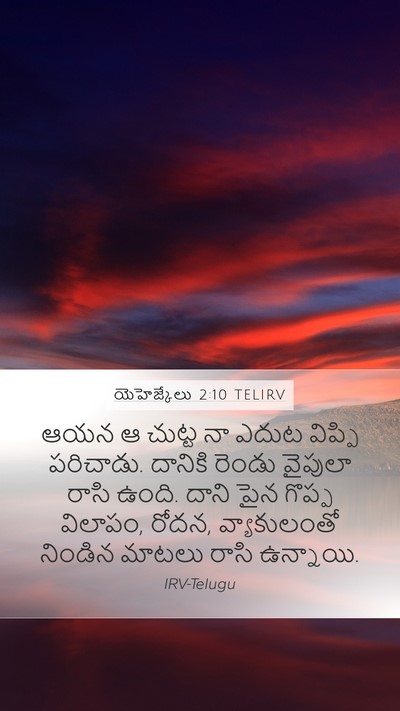యెహెజ్కేలు 2:10 TELIRV Bible Verse Image