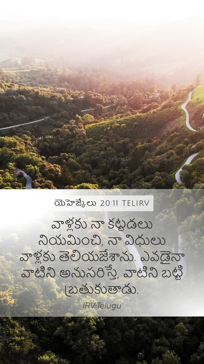 యెహెజ్కేలు 20:11 TELIRV Bible Verse Image