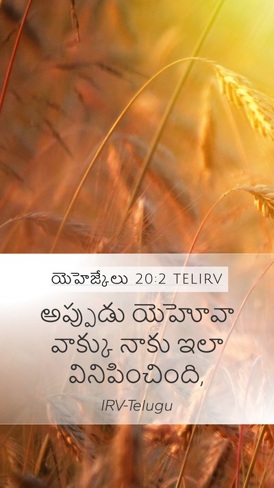 యెహెజ్కేలు 20:2 TELIRV Mobile Phone Wallpaper - అప్పుడు యెహోవా - Mobile Bible Verse Wallpaper