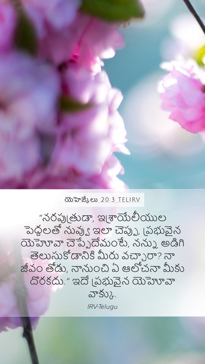 యెహెజ్కేలు 20:3 TELIRV Bible Verse Image