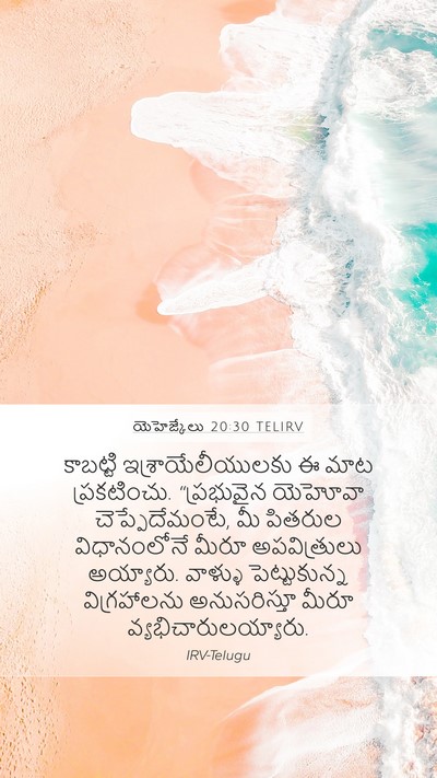యెహెజ్కేలు 20:30 TELIRV Bible Verse Image