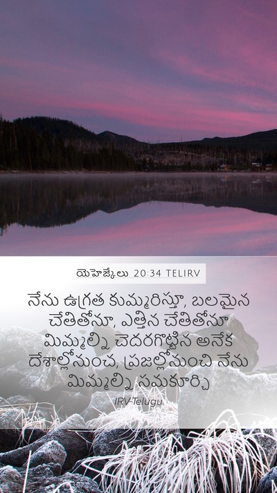 యెహెజ్కేలు 20:34 TELIRV Bible Verse Image