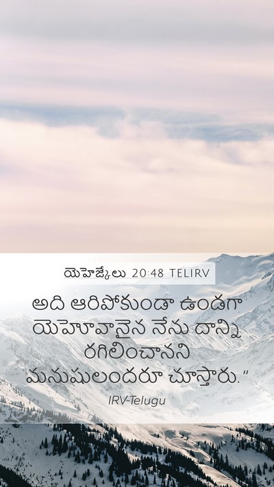 యెహెజ్కేలు 20:48 TELIRV Bible Verse Image