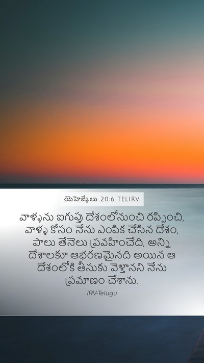 యెహెజ్కేలు 20:6 TELIRV Bible Verse Image