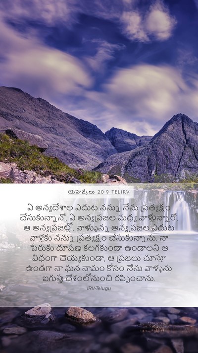 యెహెజ్కేలు 20:9 TELIRV Bible Verse Image