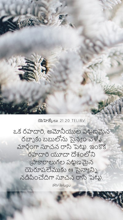 యెహెజ్కేలు 21:20 TELIRV Bible Verse Image