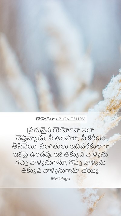 యెహెజ్కేలు 21:26 TELIRV Bible Verse Image