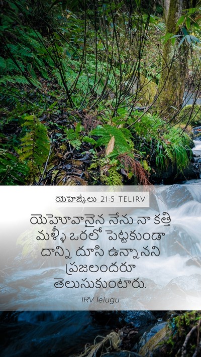 యెహెజ్కేలు 21:5 TELIRV Mobile Phone Wallpaper - యెహోవానైన నేను నా - Mobile Bible Verse Wallpaper