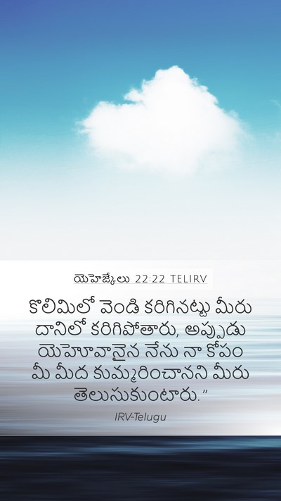 యెహెజ్కేలు 22:22 TELIRV Bible Verse Image